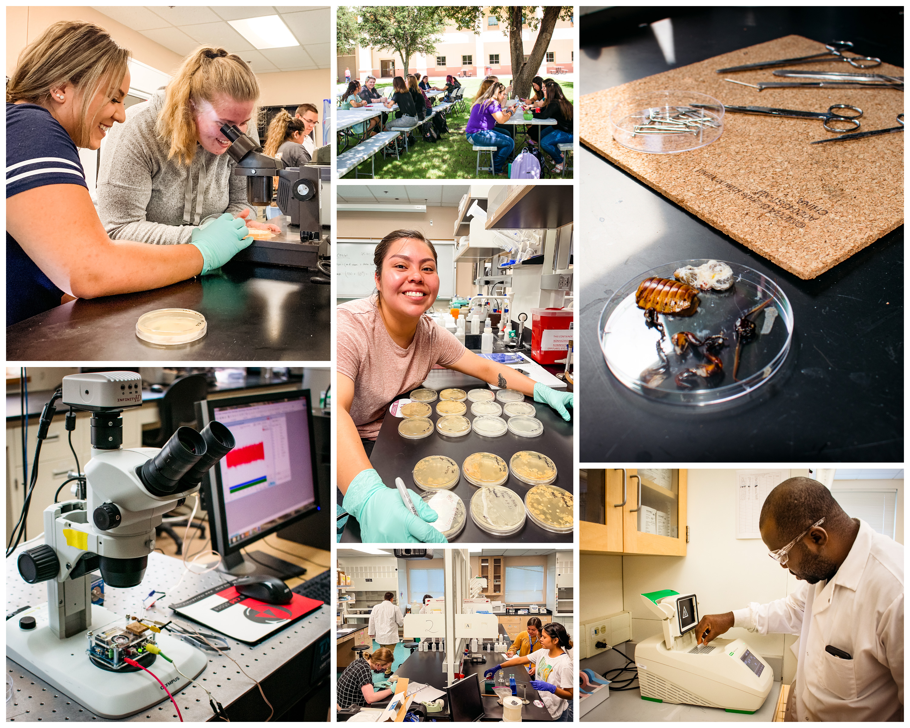 Home-Page-Collage.jpg
