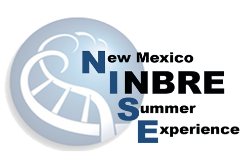 NISE Logo